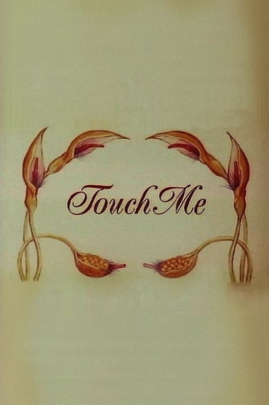 Chạm Vào Em - Touch Me (1993)