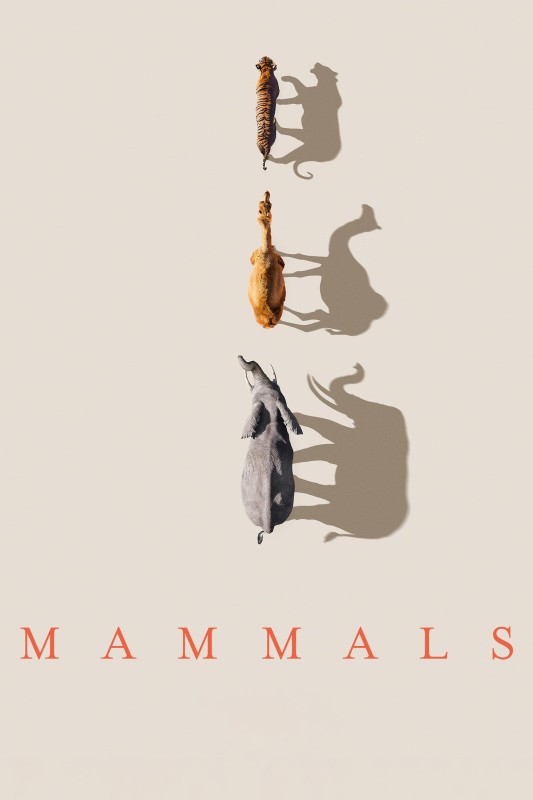 Lớp Thú - Mammals (2024)